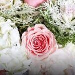 John Roether St. Petersburg FL Obituary – John Roether Death – John Roether Passed Away in Tampa Florida