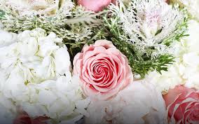 John Roether St. Petersburg FL Obituary – John Roether Death – John Roether Passed Away in Tampa Florida